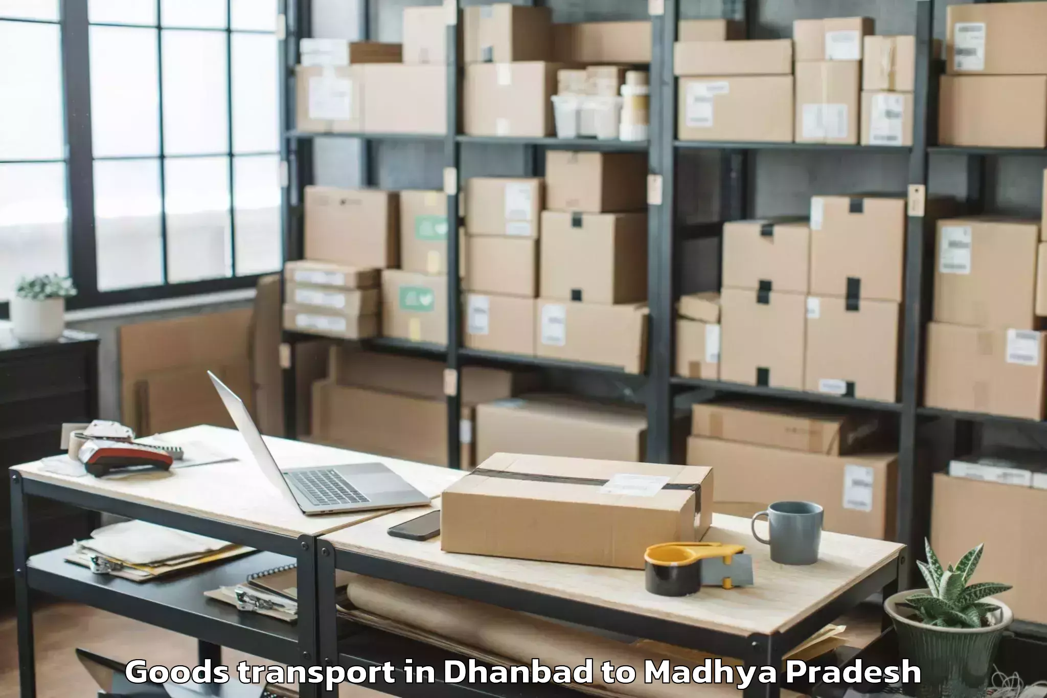 Expert Dhanbad to Raisen Goods Transport